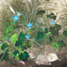 Keisai Onishi Gallery